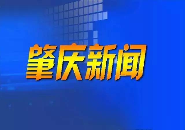 全肇慶人,這才是迅速接收市委市政府聲音的正確姿勢(shì)